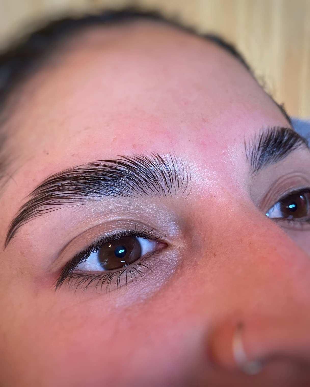 Laminado de cejas terminado